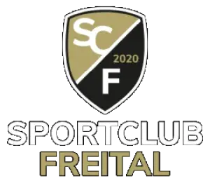 Logo Volleyball Sportclub Freital