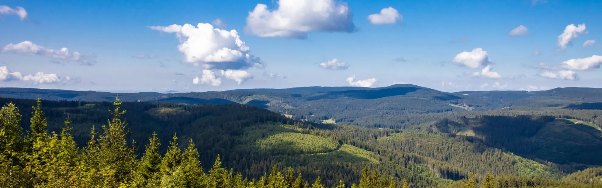 Thüringer Wald